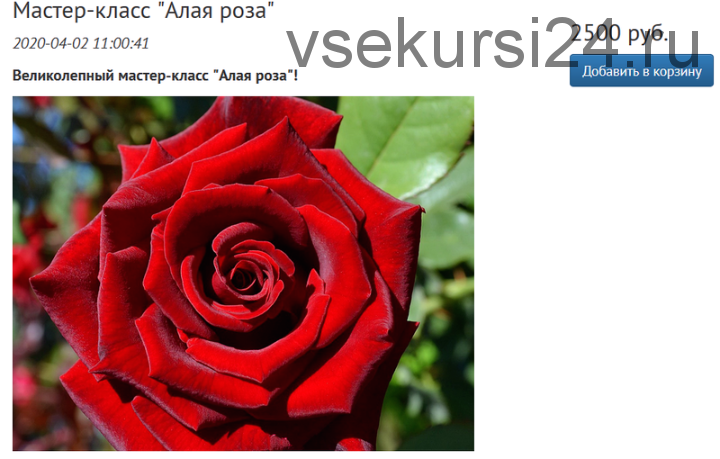 [Студия живописи Надежды Русиновой] Алая роза (Надежда Русинова)