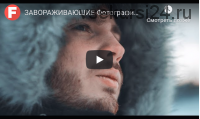 Freemax preset pack 2019 (Максим Русаков)