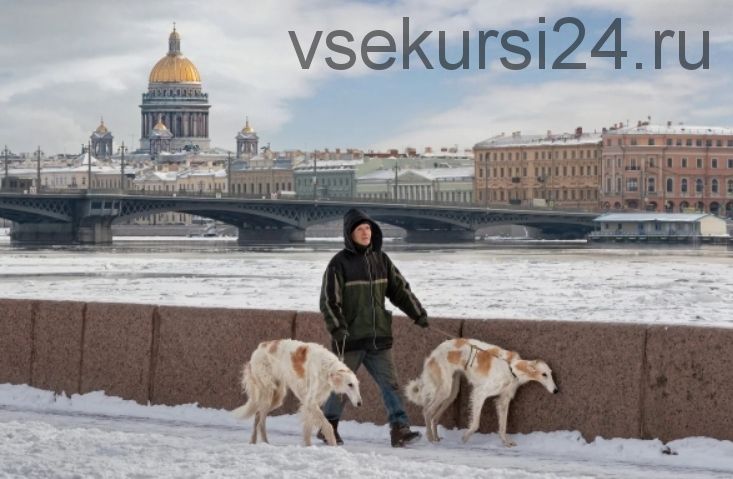 Городография Онлайн [Александр Петросян]