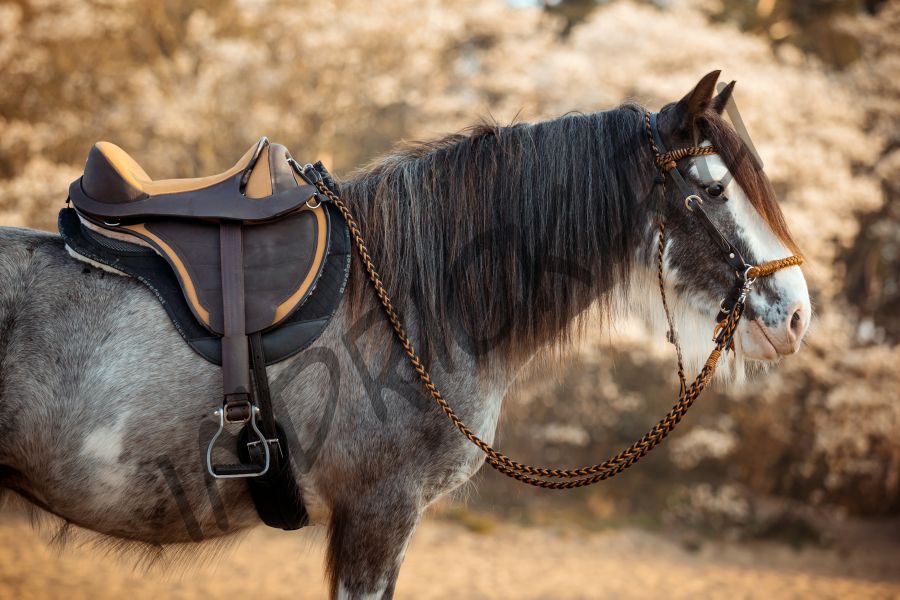 Безленчиковое седло Barefoot Cheyenne Mustard PRO Limited Edition