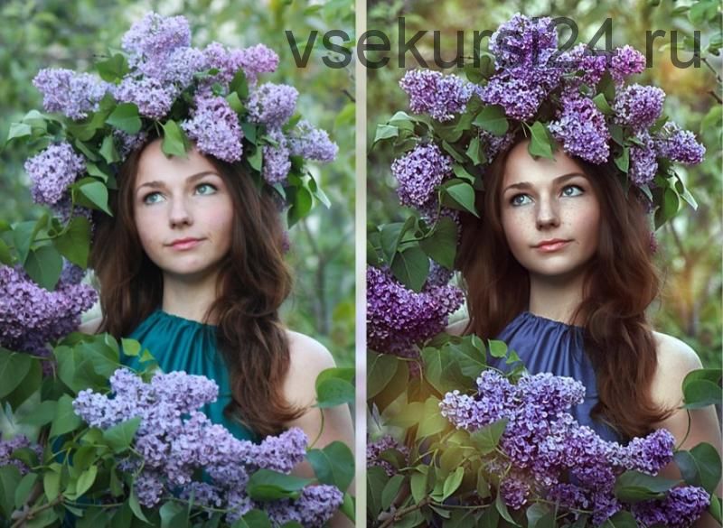 Сирень (Мария Золотова)