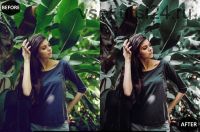 [matttestudio] Papaya Photoshop Actions And ACR Presets, Green Ps Presets