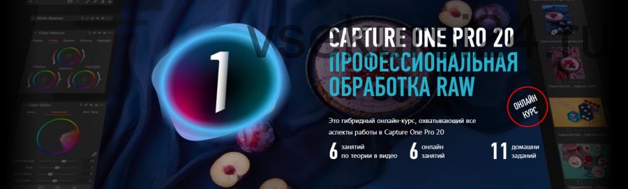 [Profile school] Capture One Pro 20. Профессиональная обработка RAW. Гибридный курс (Александр Свет)