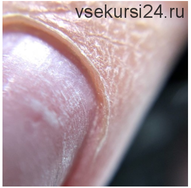 [parisnail] Вебинар 'Идеальный карман' (Ксения Ткачук)