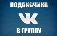 Мaнуaл зa кoпeйки. 10 000 yчaстников в грyппy ВК (Хакер)