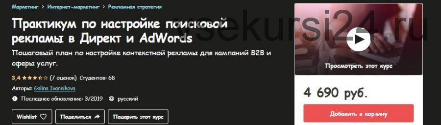 [Udemy] Практикум по настройке поисковой рекламы в Директ и AdWords (Галина Иванникова)