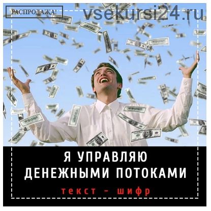 Я управляю денежными потоками (Леонид Каюм)