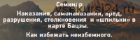 Бацзы. Наказания, столкновения и прочие взаимодействия в карте (Н. Пугачёва)