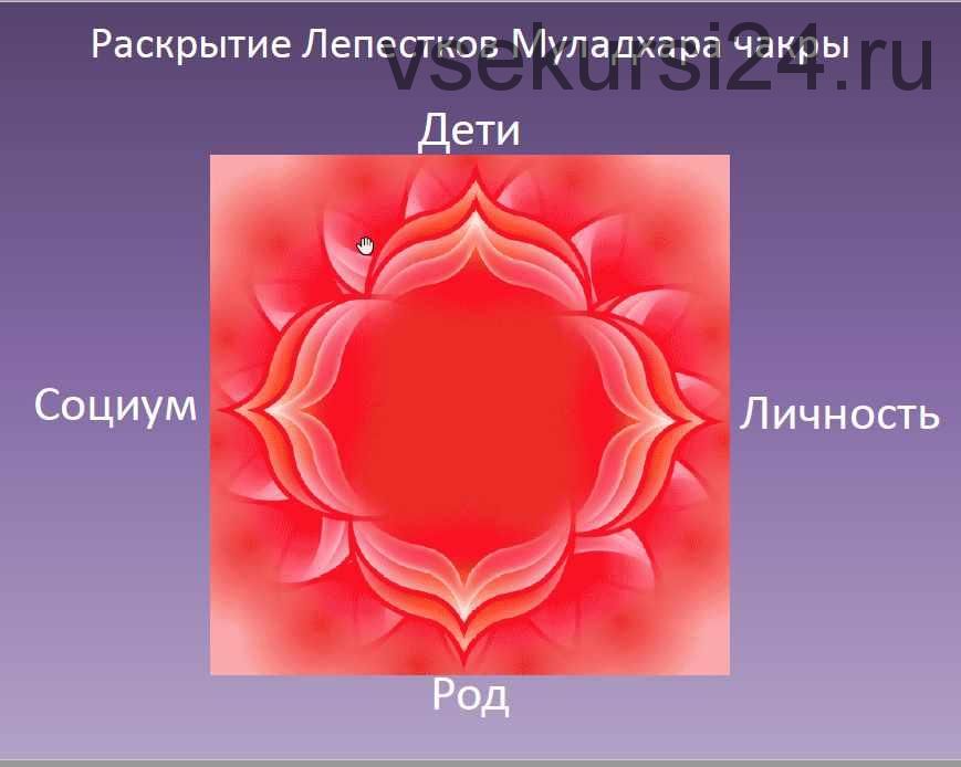 Чакрам. Гармоничное развитие личности. Активация чакр 2018 (пакет золото)(Василий Попов)