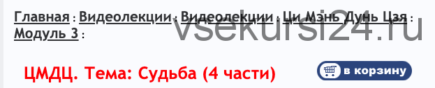 Ци Мень Дунь Дзя. Модуль 3. Темы: Принципы анализа и Судьба (Бронислав Виногродский)