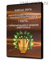 Кайлас йога. Часть 1 (Андрей Дуйко)