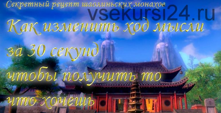 Как изменить ход мысли за 30 секунд, чтобы получить то, что хочешь (Инесса Власова)