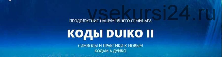 Коды Дуйко II. Символы и практики к кодам Дуйко (Андрей Дуйко)