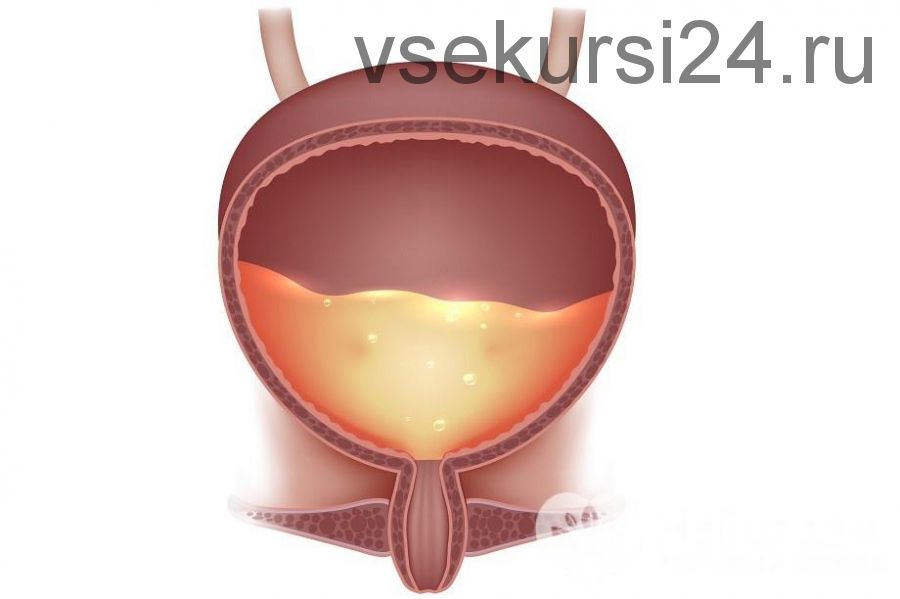 Коррекция мочевого пузыря (Юджиния Квант)
