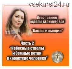 Курс-тренинг 'Бацзы и эмоции'. 2 часть. Небесные стволы и Земные ветви (Юдола Белимирова)