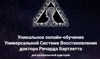 Master Energy Dynamics. Тариф Введение В M.E.D. онлайн (Ричард Бартлетт)