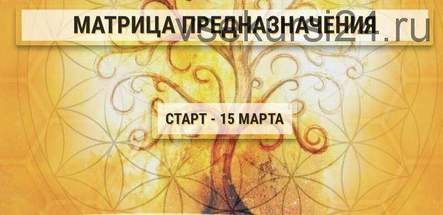 Матрица предназначения. Личный уровень (Ольга Кaруна)