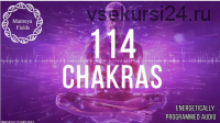 Очищение 114 чакр (Maitreya Fields)