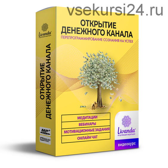 Открытие денежного канала. Пакет Максимальный [Ливанда]