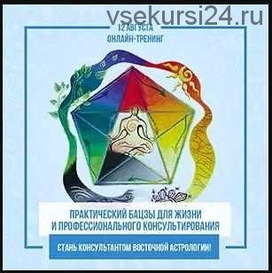 Практический Ба Цзы для жизни и профессионального консультирования (Ольга Николаева)