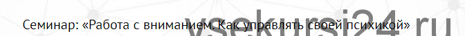Работа с вниманием. Как управлять своей психикой (Кирилл Ржаной)