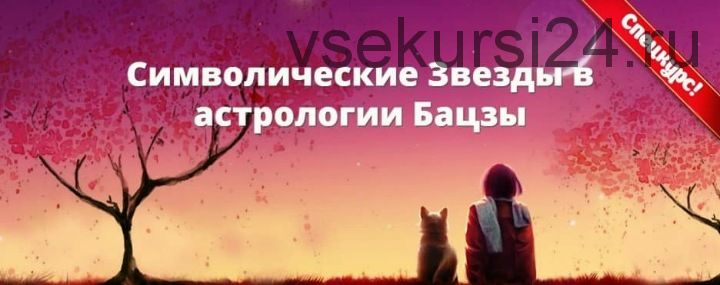 Символические звезды в астрологии Бацзы. Пакет «Все звезды» (Наталья Пугачева)