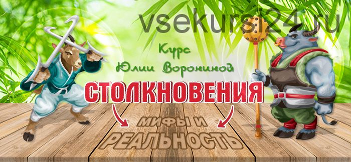 Столкновение Мифы и реальность (Юлия Воронина)