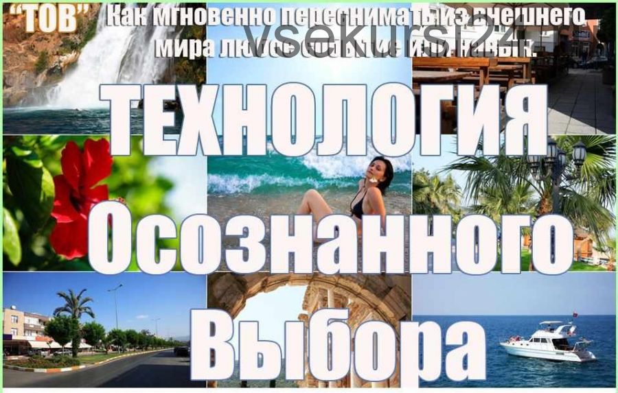 Технология осознанного выбора (Инесса Власова)