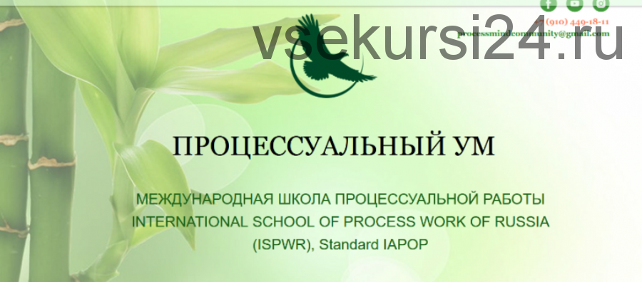 Углубленная работа с Сущностным уровнем в процесс-ориентированном подходе (Ирина Зингерман)