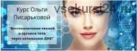 Восстановление тканей и органов тела через активацию ДНК (Ольга Писарькова)