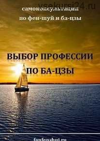 Выбор профессии по карте ба-цзы (Елена Вербицкая)