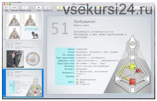 [Дизайн Человека] Курс «PTL I» месяц 1 (Виктор Крючков)