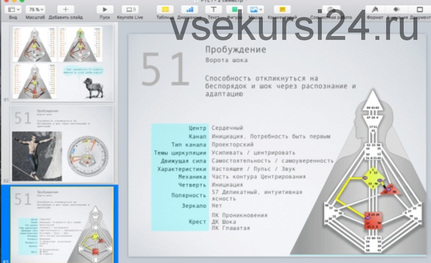 [Дизайн Человека] Курс «PTL I» месяц 7 (Виктор Крючков)