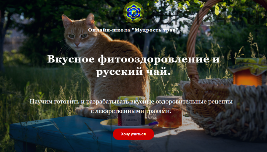 [Мудрость трав] Вкусное фитооздоровление и русский чай.Тариф 'Экстра'(Наталия Самотой, Юрий Курский)