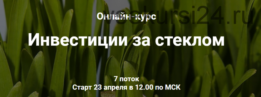 Инвестиции за стеклом. Тариф - С обратной связью (Ольга Сабитова)