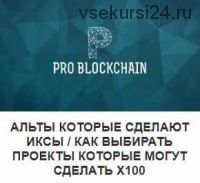 [Problockchain] Альты которые сделают Иксы: Как выбирать проекты (Максим Бурков, Вячеслав Носко)