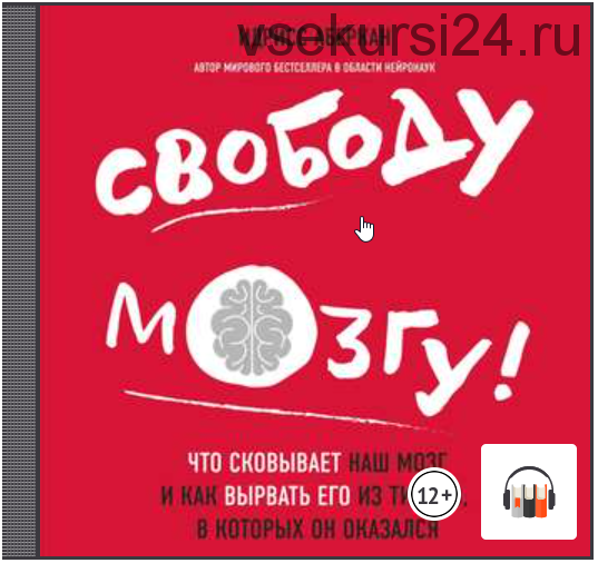 [Аудиокнига] Свободу мозгу Что сковывает наш мозг как вырвать его из тисков (Идрисс Аберкан)