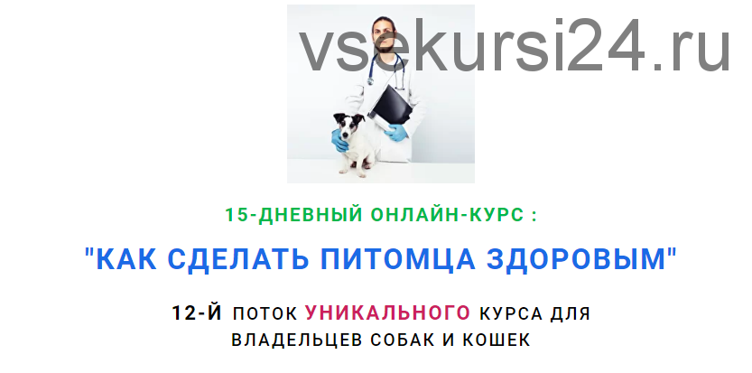 Как сделать питомца здоровым. 12 поток (Дмитрий Русаков)