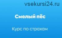 [Хороший Пёс] Курс по страхам собак 'Смелый пёс' (Дмитрий Тарасов, Алиса Спасская)