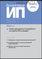 [Актион] Бухгалтерия ИП, январь-декабрь 2019