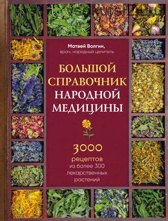 Большой справочник народной медицины. 3000 рецептов (Матвей Волгин)