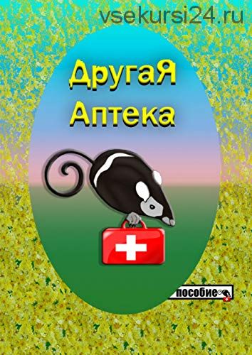 Другая аптека (Екатерина Башаева)