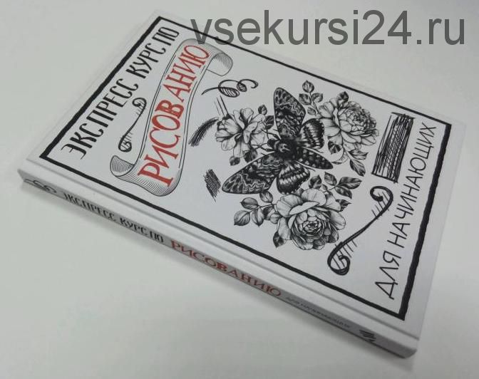 Экспресс курс по рисованию для начинающих (Мистер Грей)