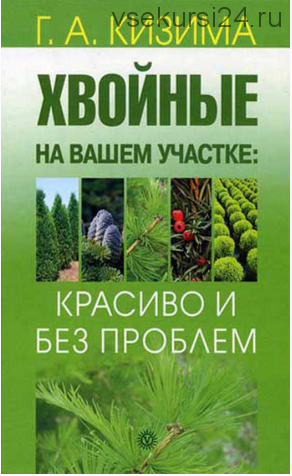 Хвойные на вашем участке: красиво и без проблем (Галина Кизима)