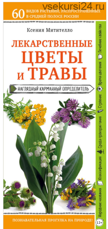 Лекарственные растения и травы. Определитель трав русских лесов и полей (Ксения Митителло)