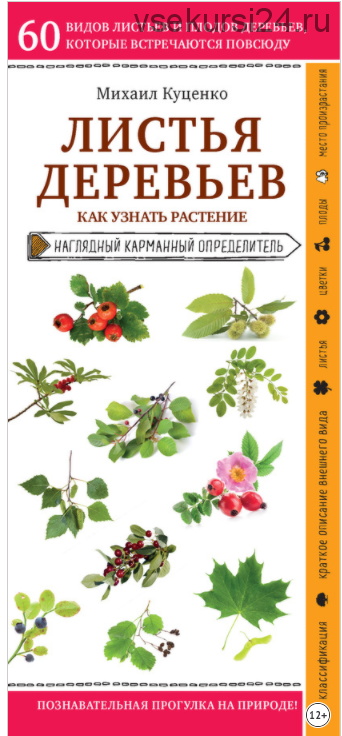 Листья деревьев. Как узнать растение (Михаил Куценко)