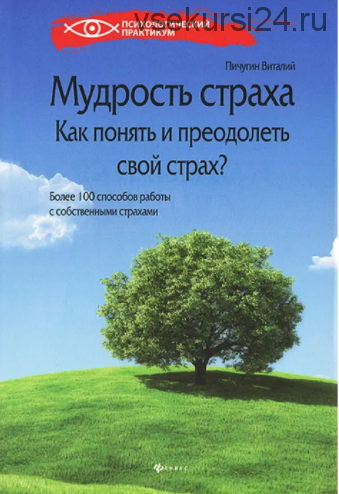 Мудрость страха. Как понять и преодолеть свой страх (Виталий Пичугин)