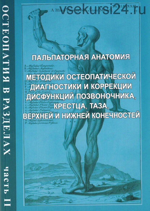 Остеопатия в разделах. Часть II: руководство для врачей (Ирина Егорова)