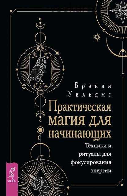 Практическая магия для начинающих. Техники и ритуалы для фокусирования энергии (Уильямс Брэнди)