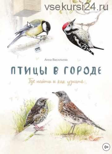 Птицы в городе. Где найти и как узнать (Анна Васильева)